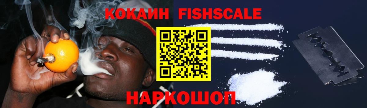 КОКАИН Fish Scale Щёлково