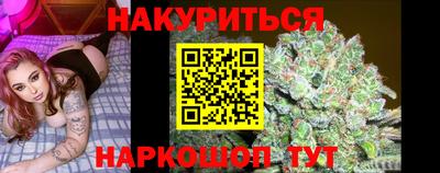 молекула духа Будённовск