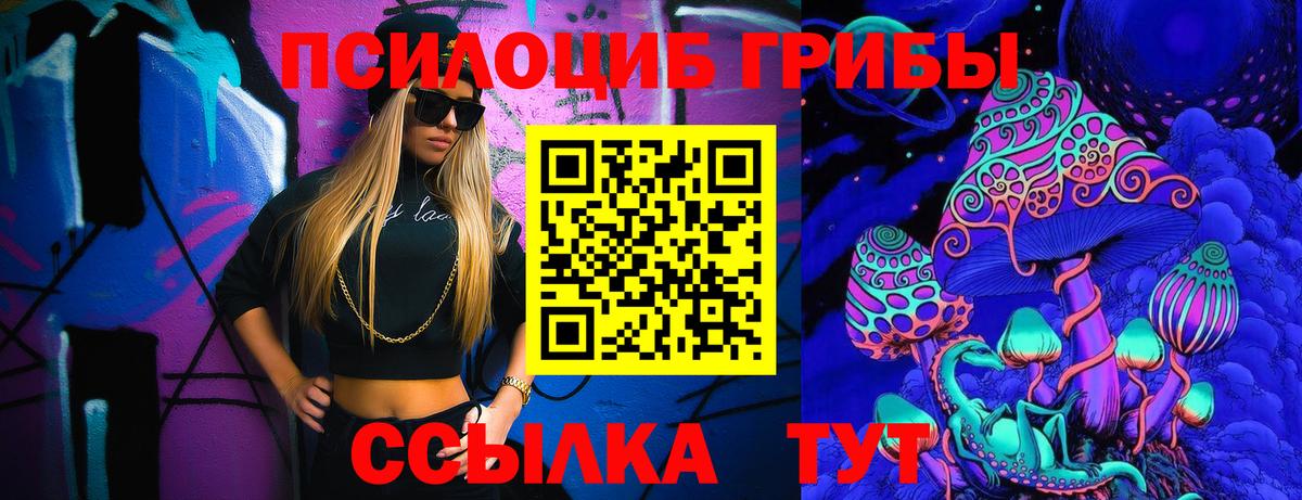 закладка  Галлюциногенные грибы Psilocybine cubensis  Вход с VPN  Щёлково 